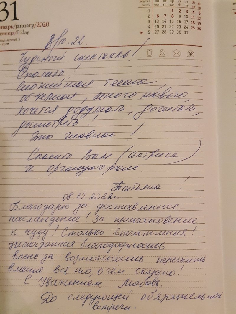 "Брифинг прекрасной Дамы"